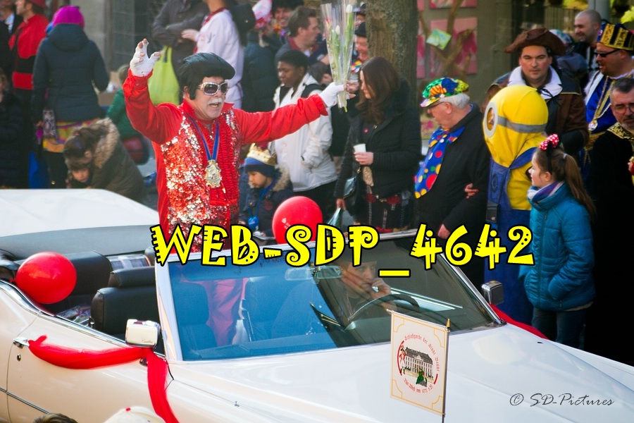 WEB SDP 4642