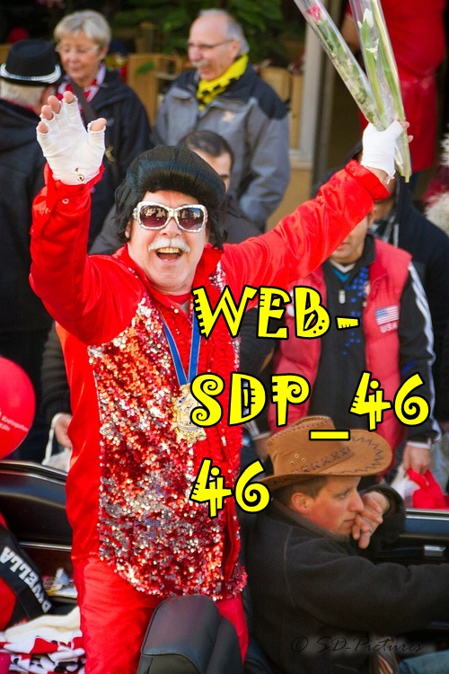 WEB SDP 4646