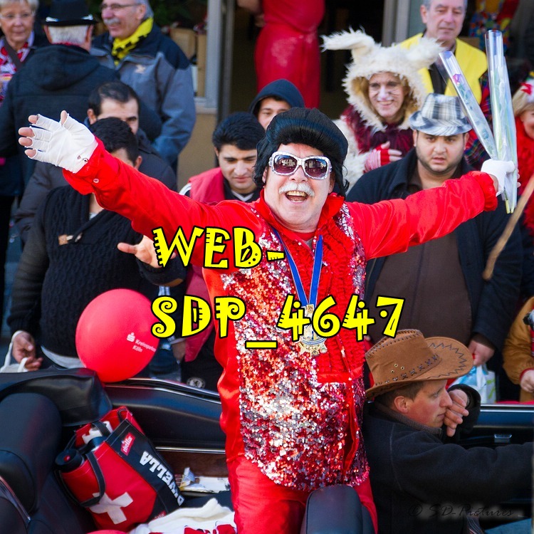 WEB SDP 4647