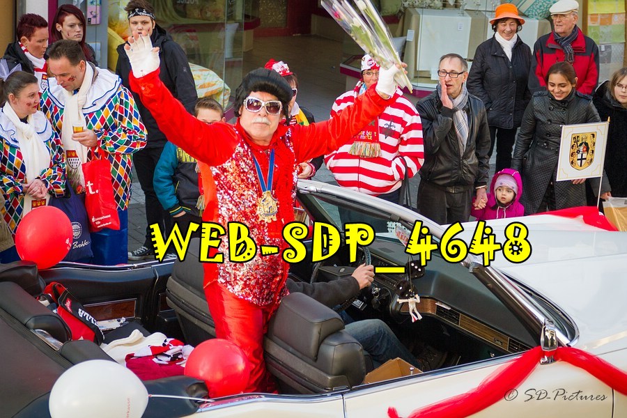 WEB SDP 4648