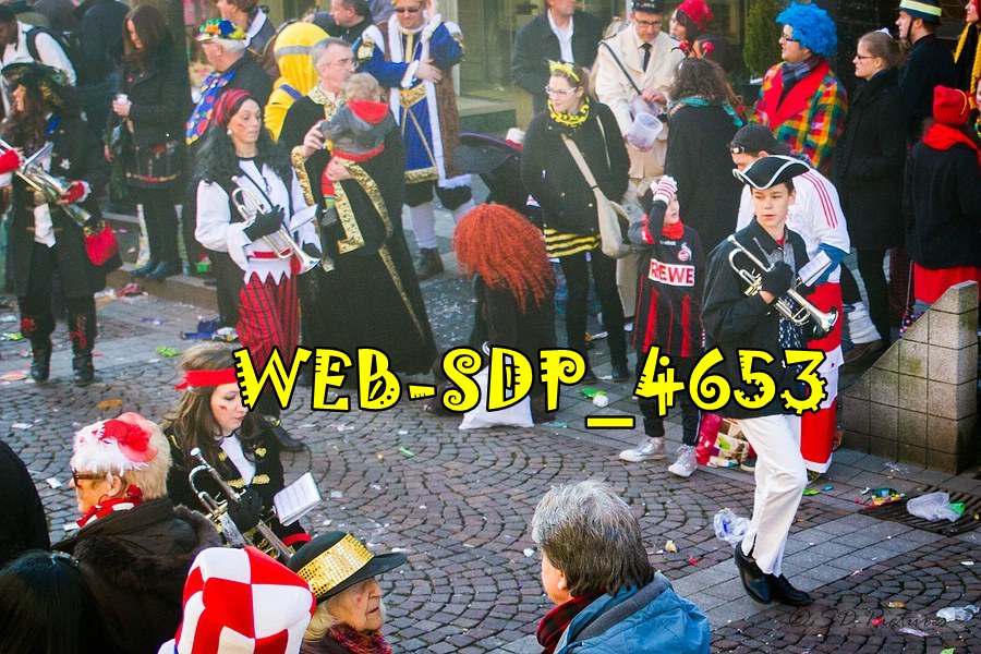 WEB SDP 4653