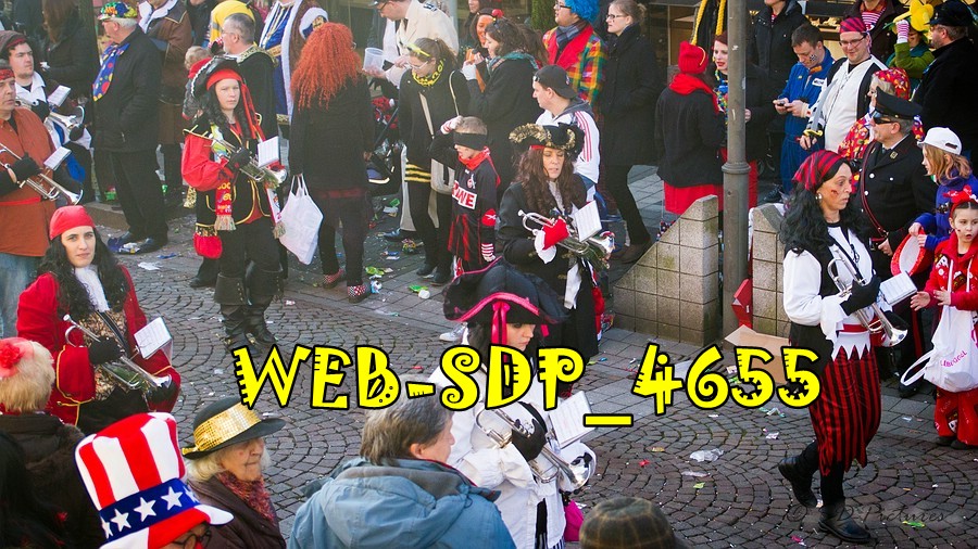 WEB SDP 4655