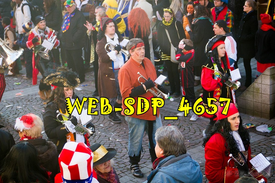WEB SDP 4657