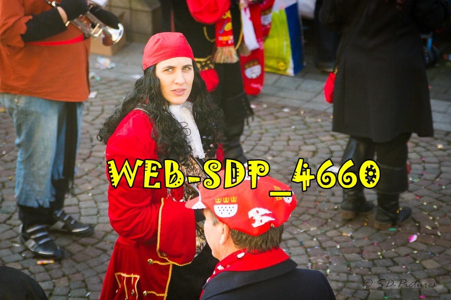 WEB SDP 4660