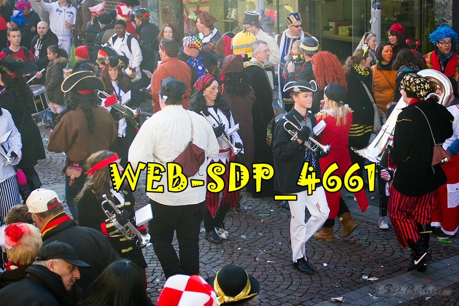 WEB SDP 4661