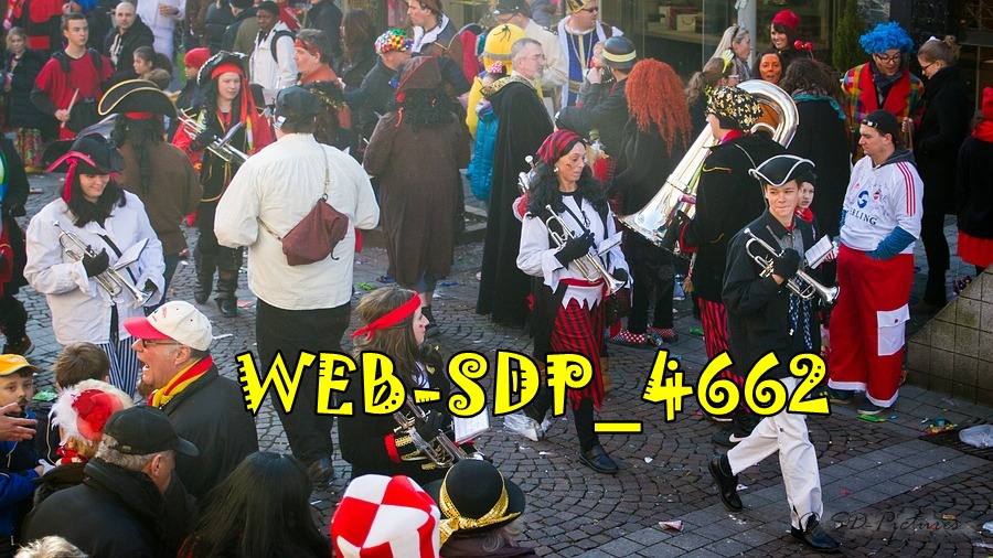 WEB SDP 4662