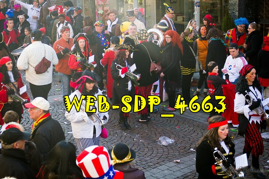 WEB SDP 4663
