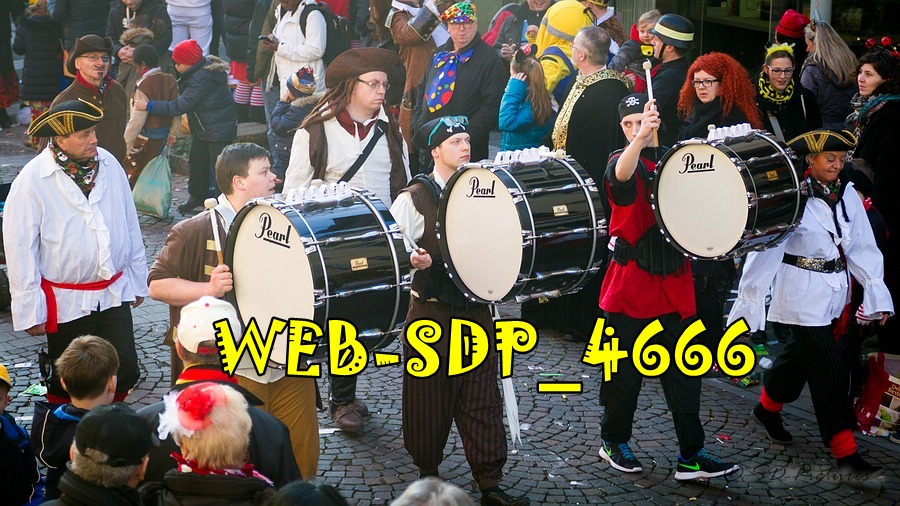WEB SDP 4666