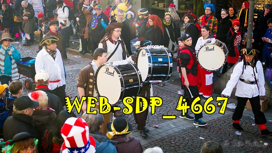 WEB SDP 4667