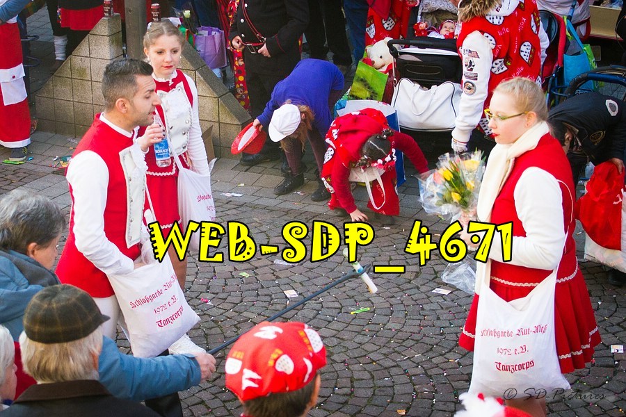 WEB SDP 4671