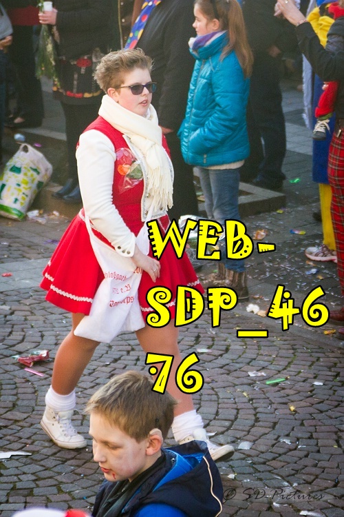WEB SDP 4676
