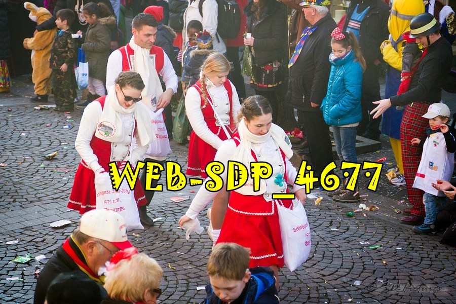 WEB SDP 4677