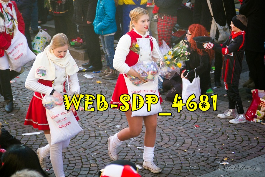 WEB SDP 4681