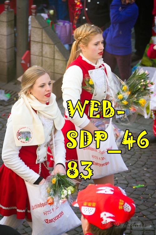 WEB SDP 4683