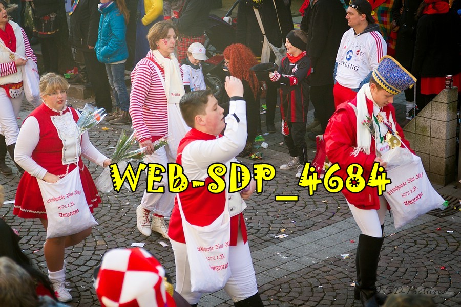 WEB SDP 4684