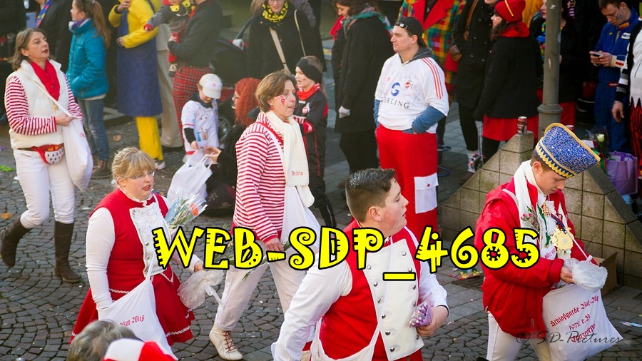 WEB SDP 4685
