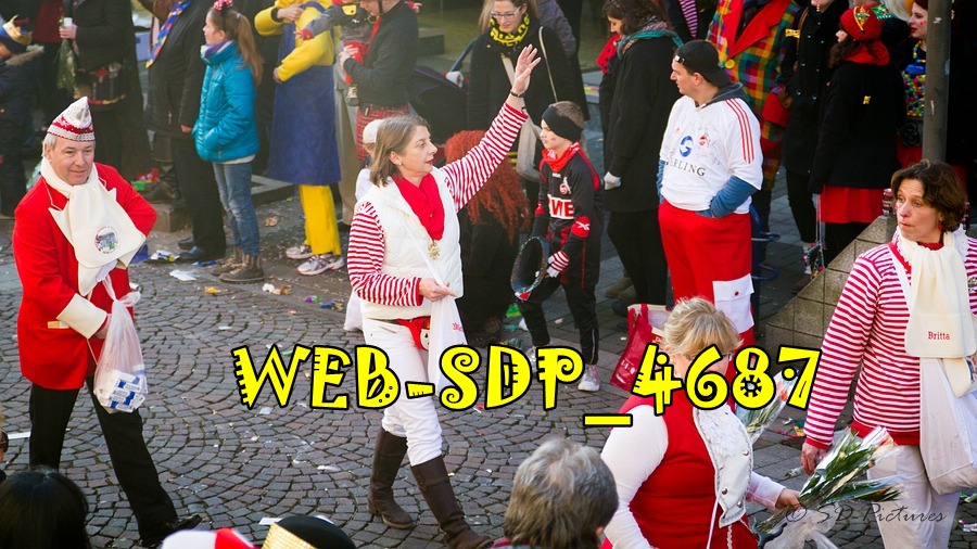 WEB SDP 4687