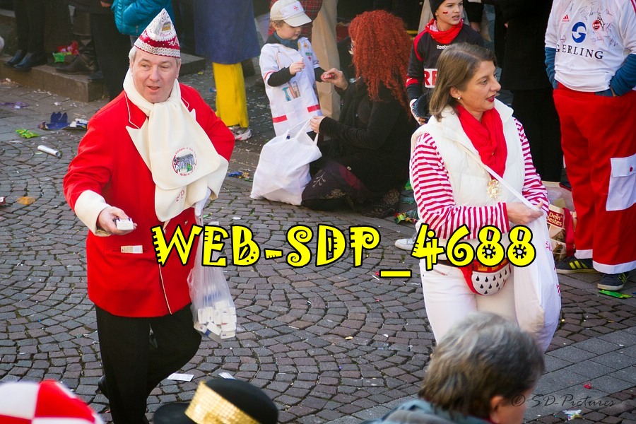 WEB SDP 4688