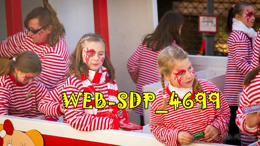 WEB SDP 4699