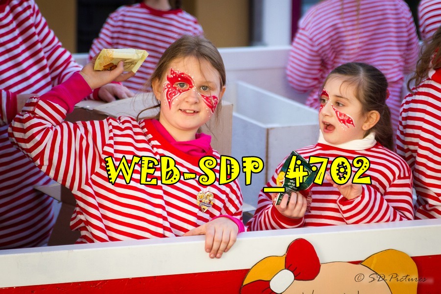 WEB SDP 4702