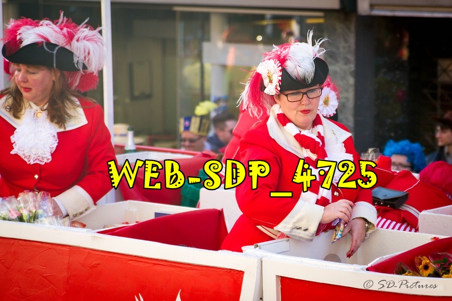 WEB SDP 4725