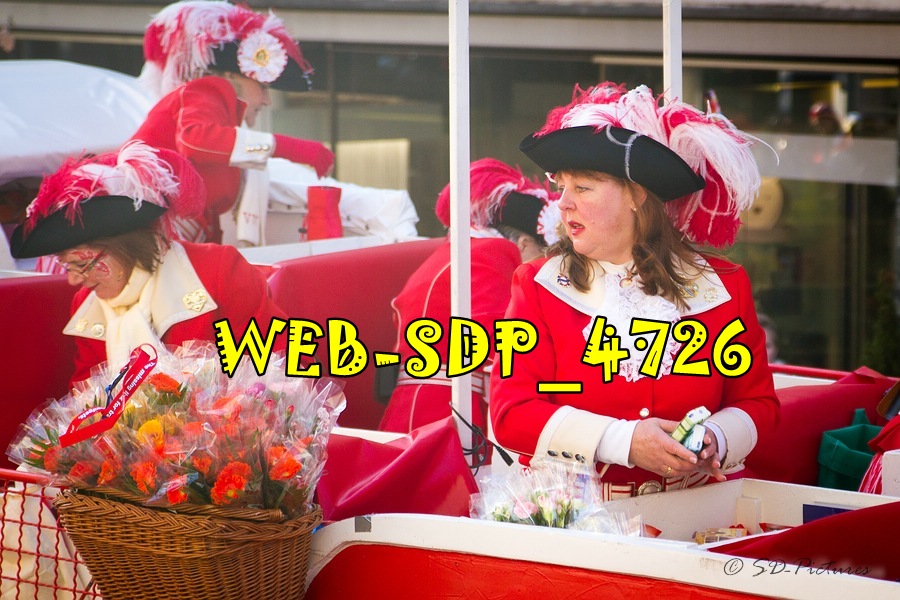 WEB SDP 4726
