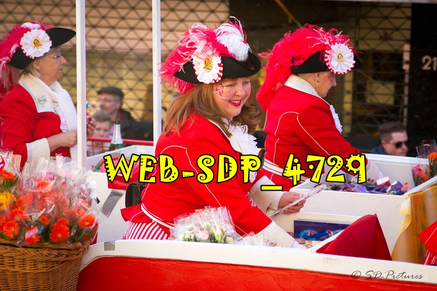 WEB SDP 4729
