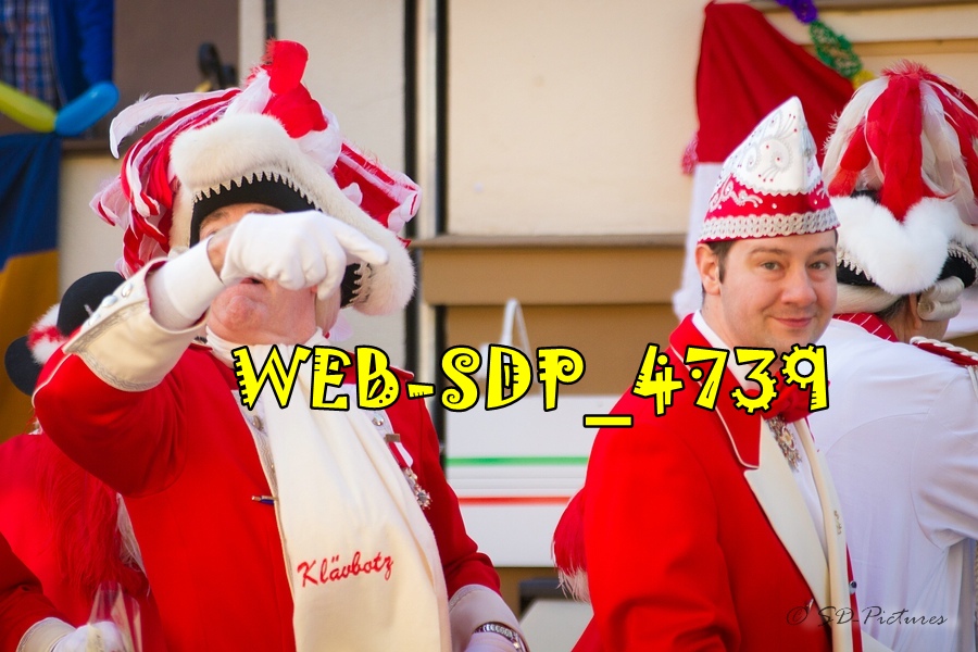 WEB SDP 4739