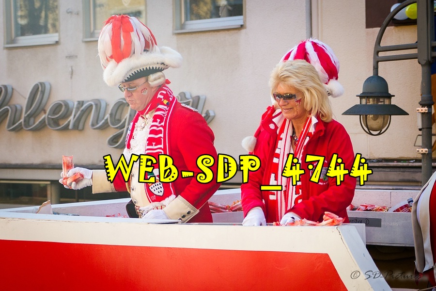 WEB SDP 4744