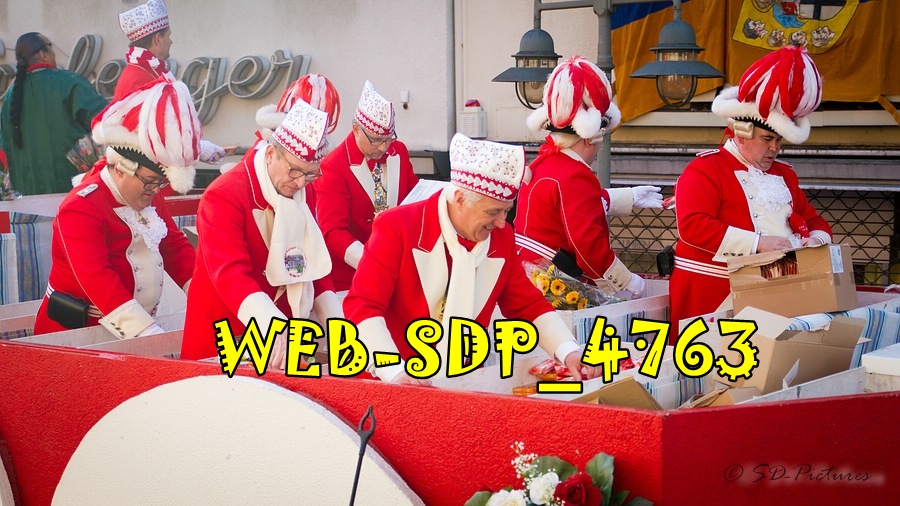WEB SDP 4763