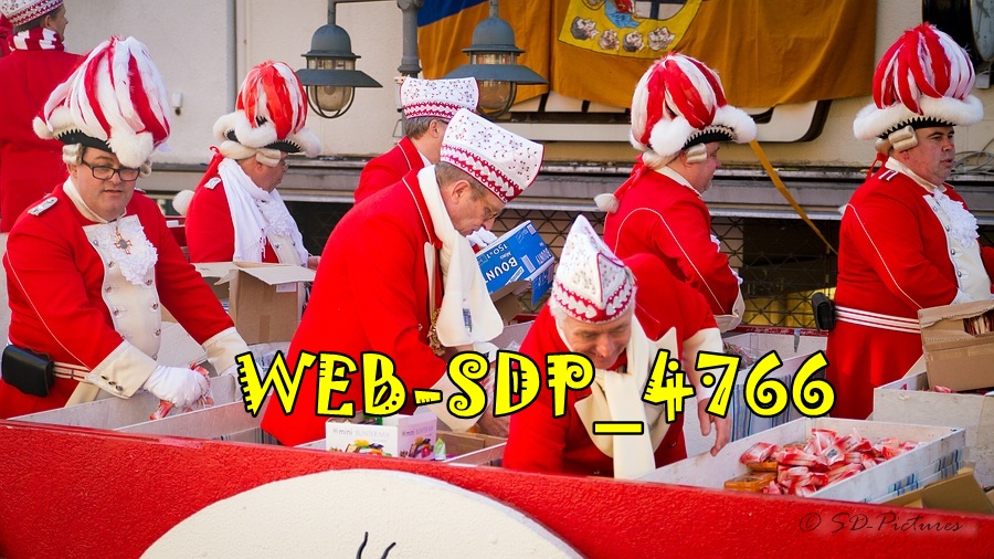 WEB SDP 4766