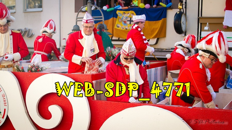 WEB SDP 4771