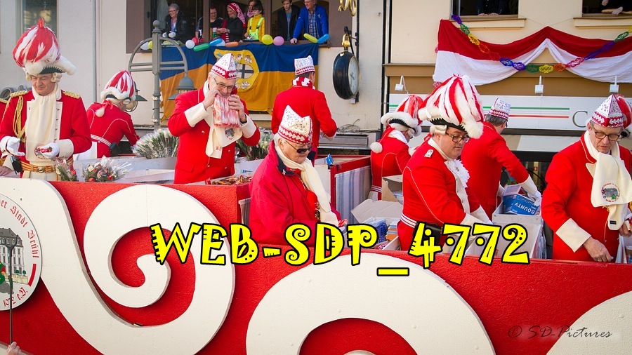 WEB SDP 4772