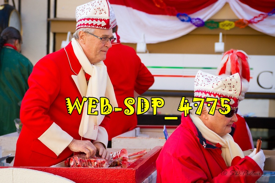 WEB SDP 4775