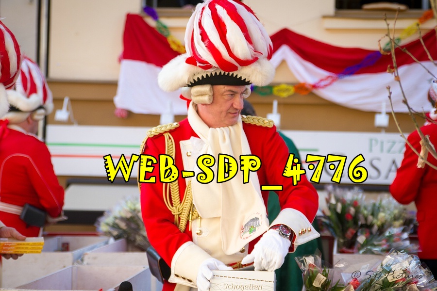 WEB SDP 4776