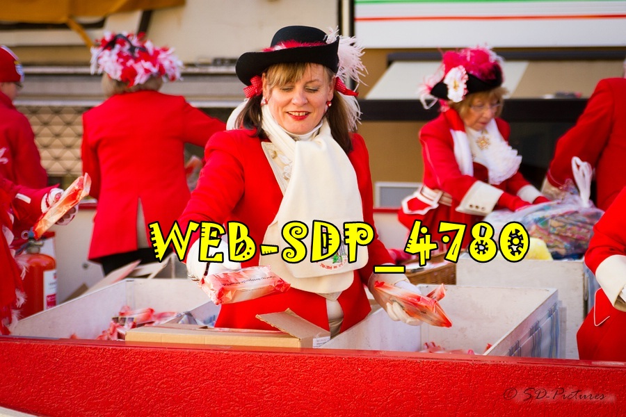 WEB SDP 4780