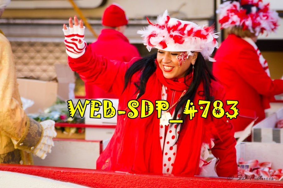 WEB SDP 4783