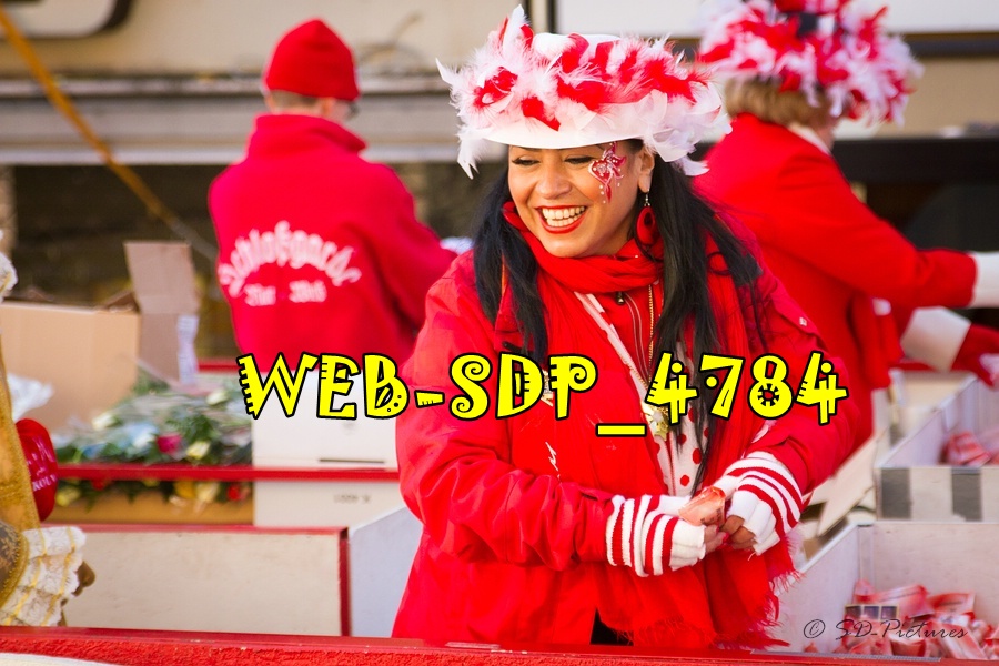WEB SDP 4784