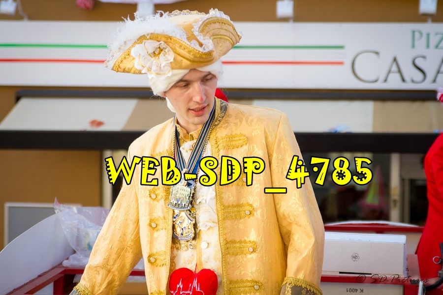 WEB SDP 4785