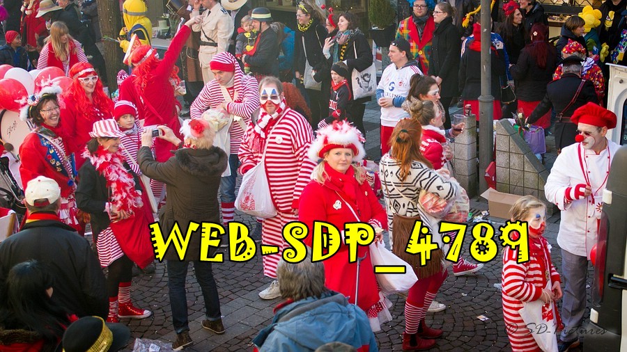 WEB SDP 4789
