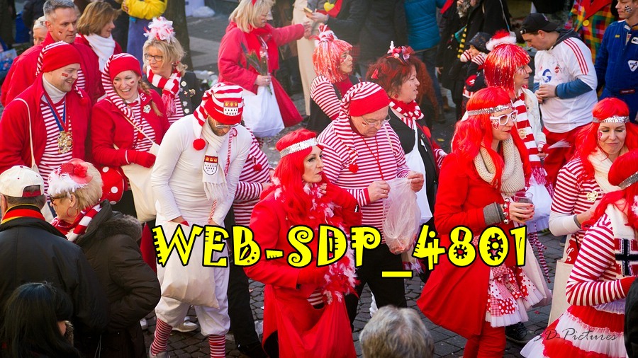 WEB SDP 4801