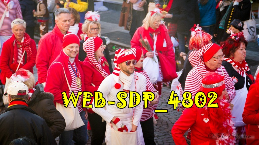 WEB SDP 4802