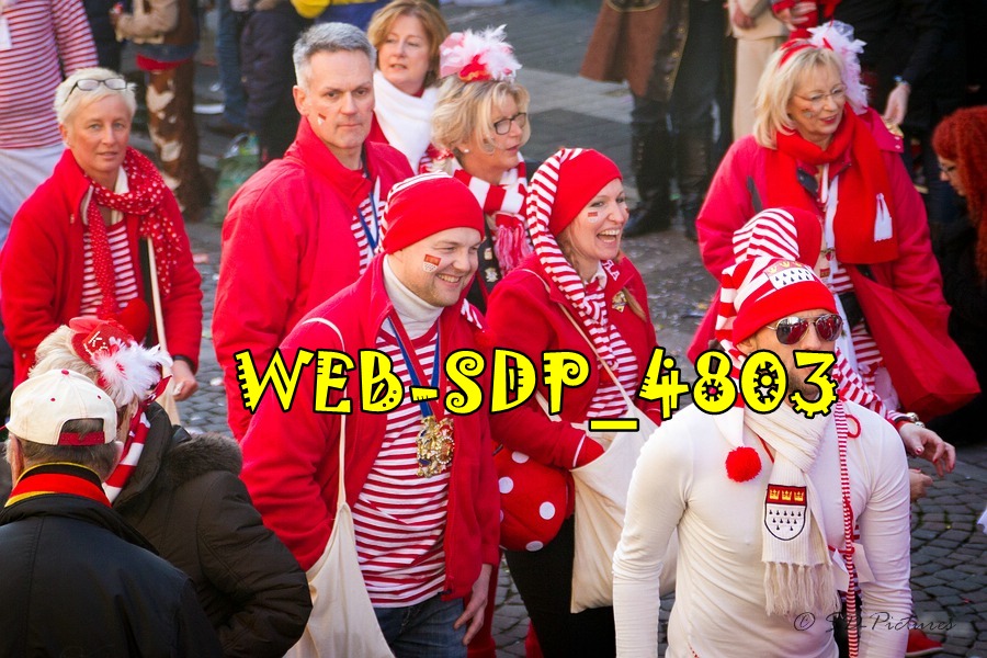 WEB SDP 4803
