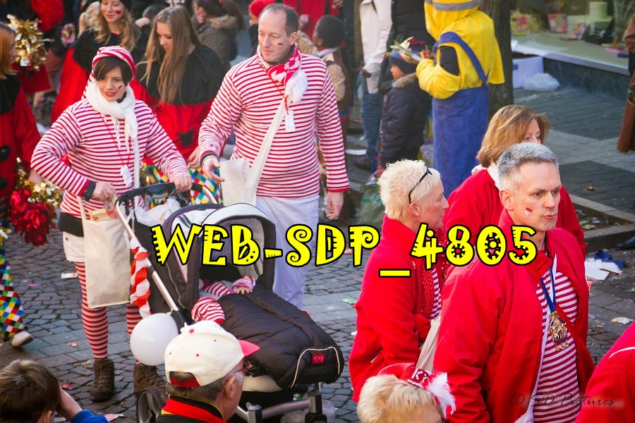 WEB SDP 4805