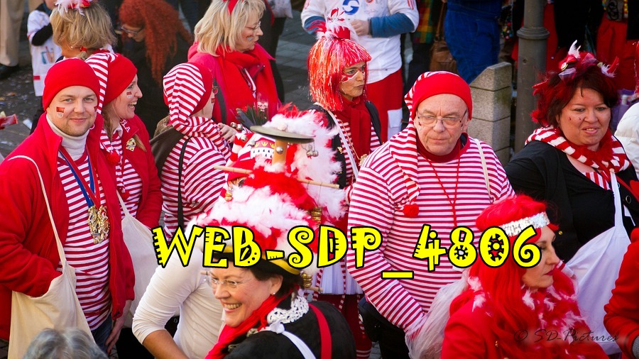 WEB SDP 4806