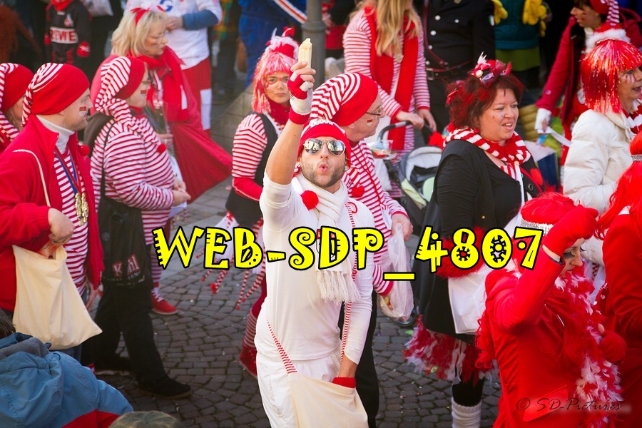 WEB SDP 4807