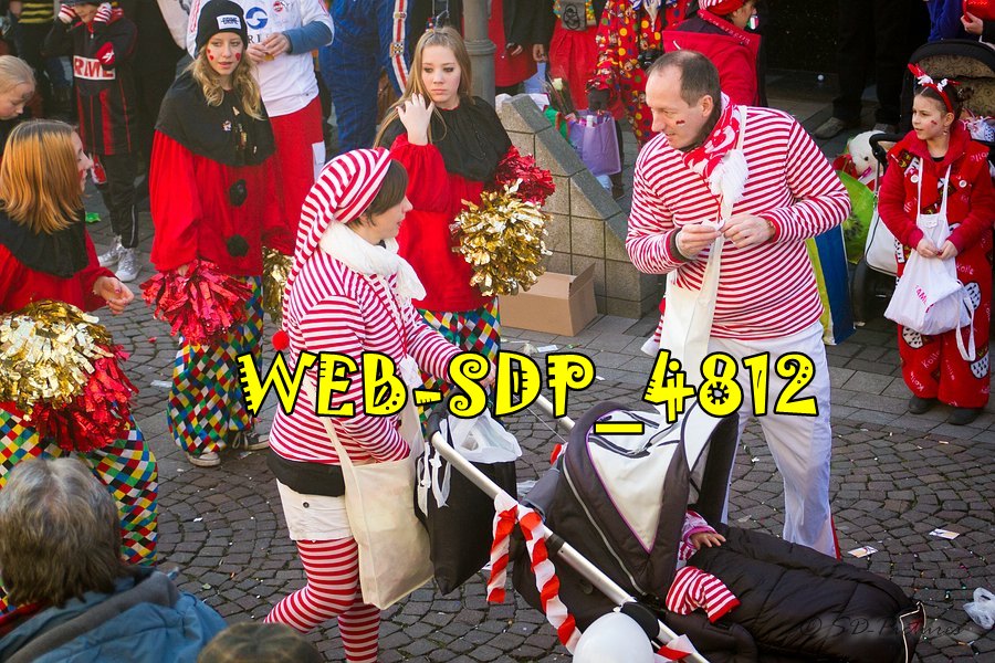 WEB SDP 4812