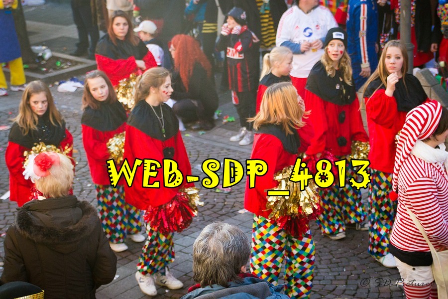 WEB SDP 4813