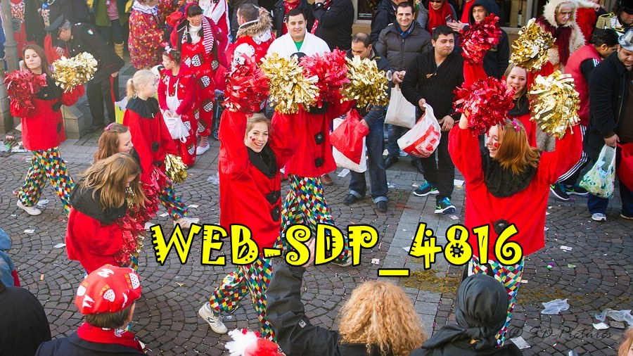 WEB SDP 4816