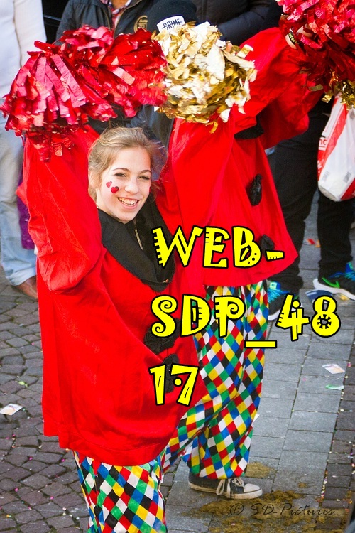 WEB SDP 4817